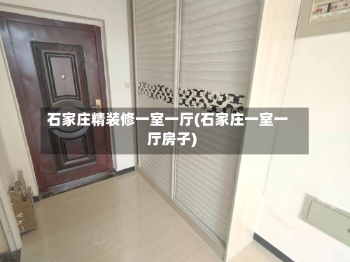 石家庄精装修一室一厅(石家庄一室一厅房子)-第1张图片