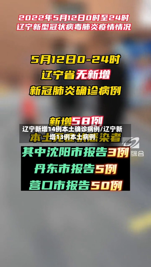 辽宁新增14例本土确诊病例/辽宁新增13例本土病例-第1张图片