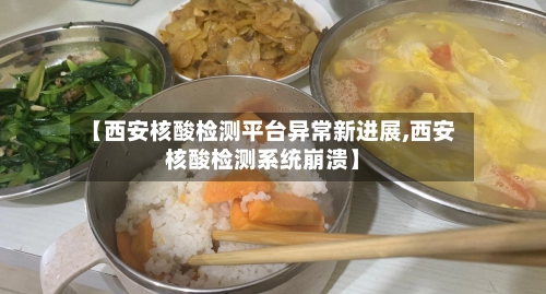 【西安核酸检测平台异常新进展,西安核酸检测系统崩溃】-第3张图片