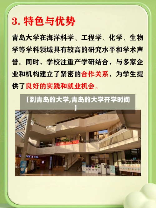 【到青岛的大学,青岛的大学开学时间】-第1张图片