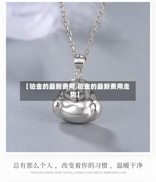 【铂金的最新费用,铂金的最新费用走势】-第1张图片