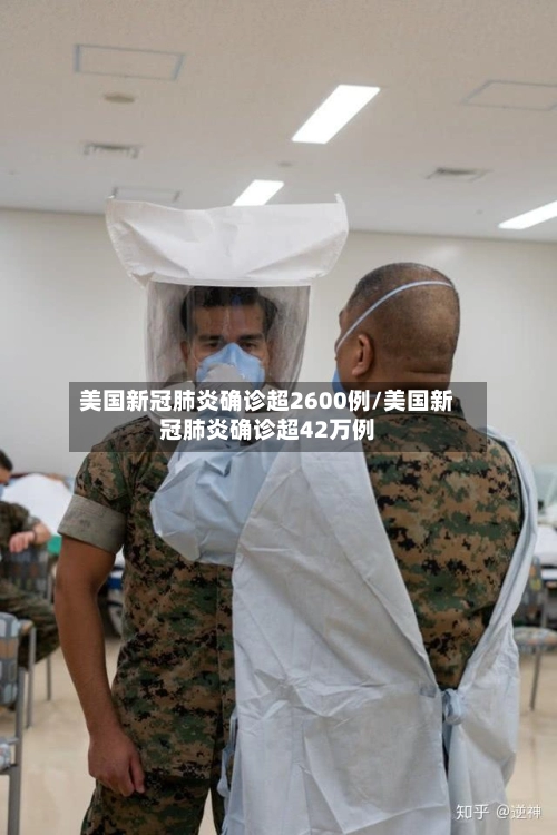 美国新冠肺炎确诊超2600例/美国新冠肺炎确诊超42万例-第1张图片