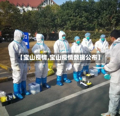 【宝山疫情,宝山疫情数据公布】-第1张图片