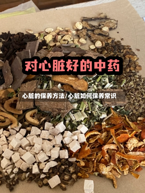 心脏的保养方法/心脏如何保养常识-第1张图片