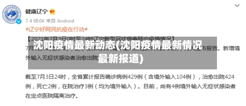 沈阳疫情最新动态(沈阳疫情最新情况最新报道)-第1张图片