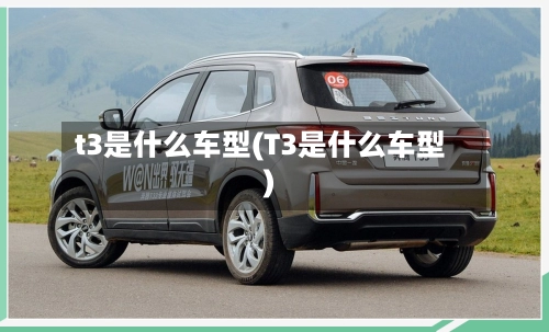 t3是什么车型(T3是什么车型)-第1张图片