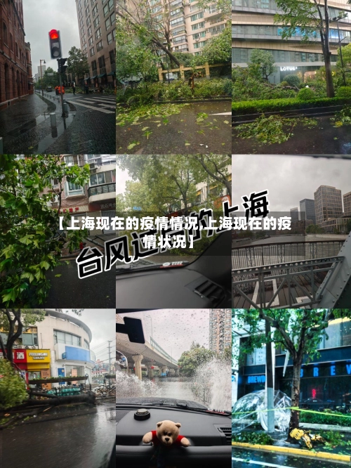 【上海现在的疫情情况,上海现在的疫情状况】-第1张图片