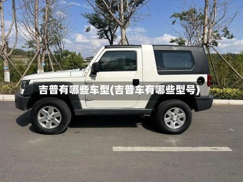 吉普有哪些车型(吉普车有哪些型号)-第1张图片