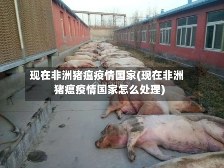 现在非洲猪瘟疫情国家(现在非洲猪瘟疫情国家怎么处理)-第1张图片