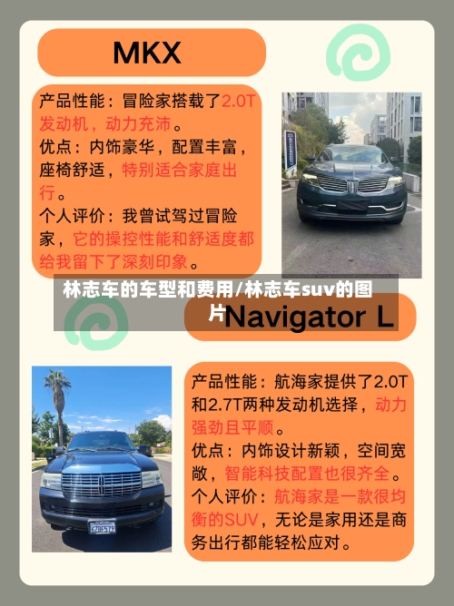 林志车的车型和费用/林志车suv的图片-第1张图片