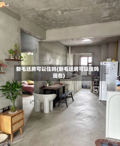 新毛坯房可以住吗(新毛坯房可以住吗现在)-第1张图片