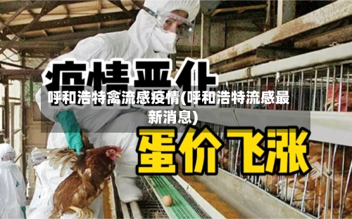 呼和浩特禽流感疫情(呼和浩特流感最新消息)-第1张图片