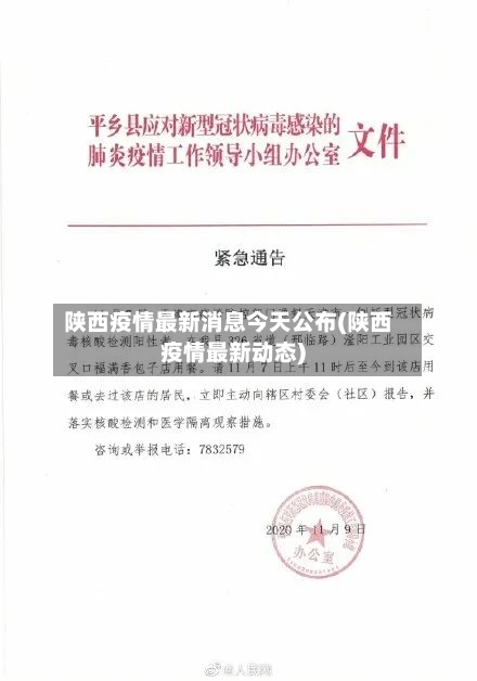 陕西疫情最新消息今天公布(陕西疫情最新动态)-第1张图片