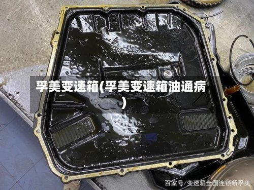 孚美变速箱(孚美变速箱油通病)-第1张图片