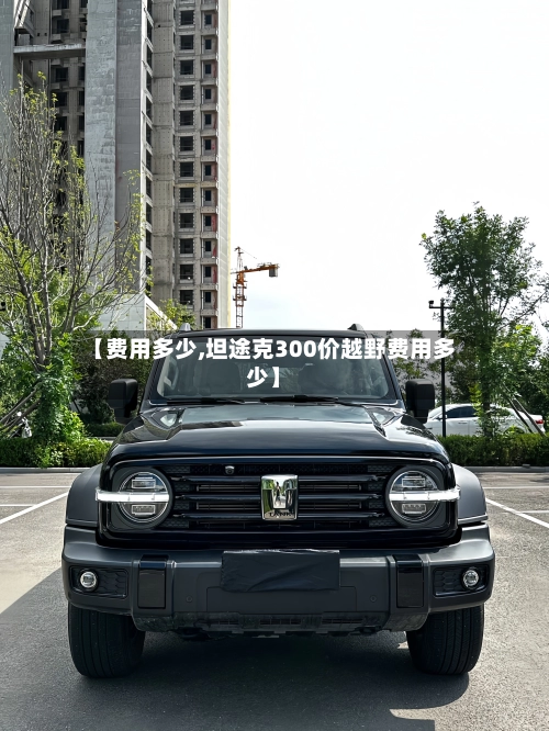 【费用多少,坦途克300价越野费用多少】-第1张图片