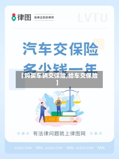 【购买车辆交保险,给车交保险】-第1张图片