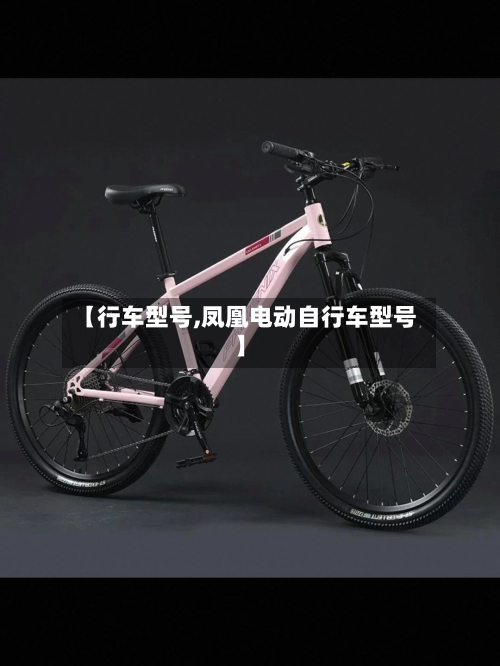 【行车型号,凤凰电动自行车型号】-第1张图片