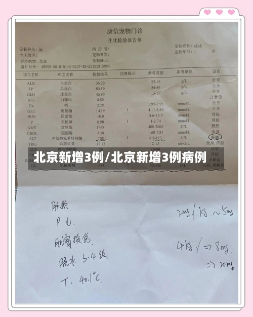北京新增3例/北京新增3例病例-第1张图片