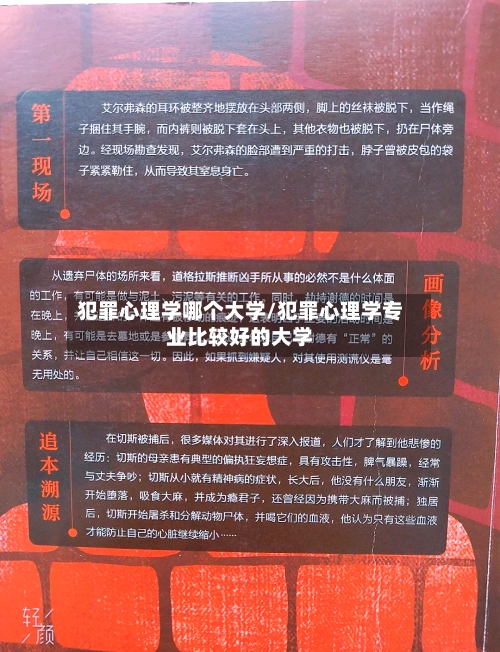 犯罪心理学哪个大学/犯罪心理学专业比较好的大学-第1张图片