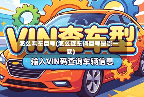 怎么看车型号(怎么查车辆型号是哪一款)-第1张图片