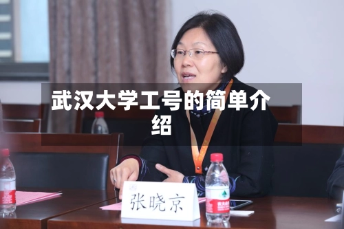 武汉大学工号的简单介绍-第1张图片