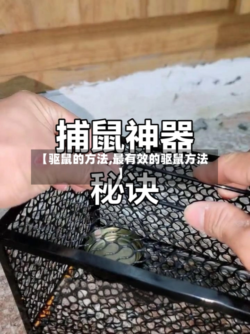 【驱鼠的方法,最有效的驱鼠方法】-第1张图片