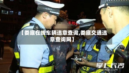 【娄底在线车辆违章查询,娄底交通违章查询网】-第1张图片
