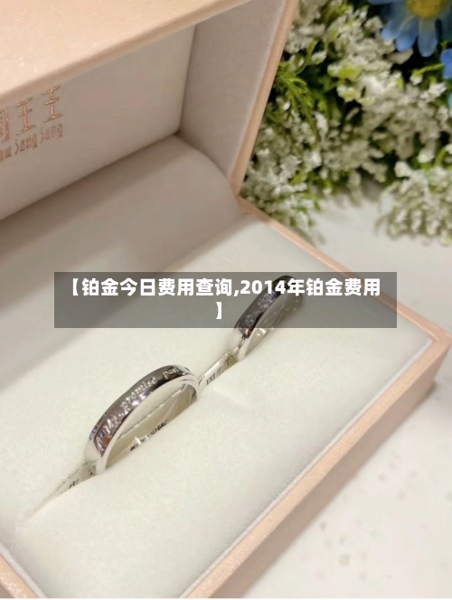 【铂金今日费用查询,2014年铂金费用】-第2张图片