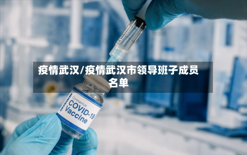 疫情武汉/疫情武汉市领导班子成员名单-第1张图片
