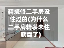 精装修二手房没住过的(为什么二手房精装未住就卖了)-第1张图片