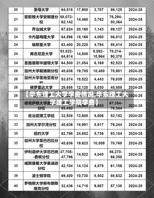 【华东理工大学学费情况,华东理工大学理工学院学费】-第1张图片
