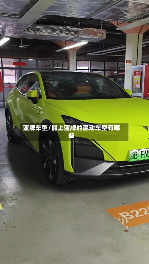 蓝牌车型/能上蓝牌的混动车型有哪些-第1张图片