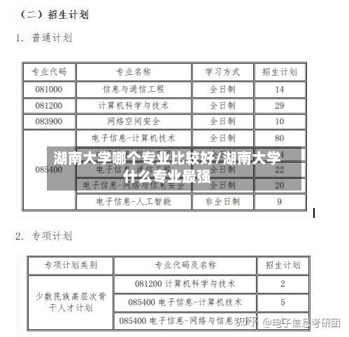 湖南大学哪个专业比较好/湖南大学什么专业最强-第2张图片