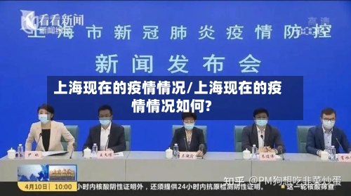 上海现在的疫情情况/上海现在的疫情情况如何?-第1张图片