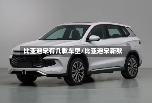 比亚迪宋有几款车型/比亚迪宋新款-第1张图片