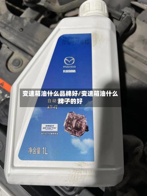 变速箱油什么品牌好/变速箱油什么牌子的好-第3张图片