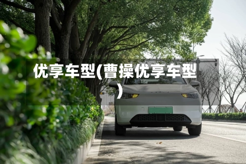 优享车型(曹操优享车型)-第1张图片