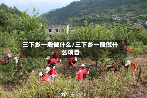 三下乡一般做什么/三下乡一般做什么项目-第1张图片