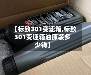【标致301变速箱,标致301变速箱油原装多少钱】-第1张图片