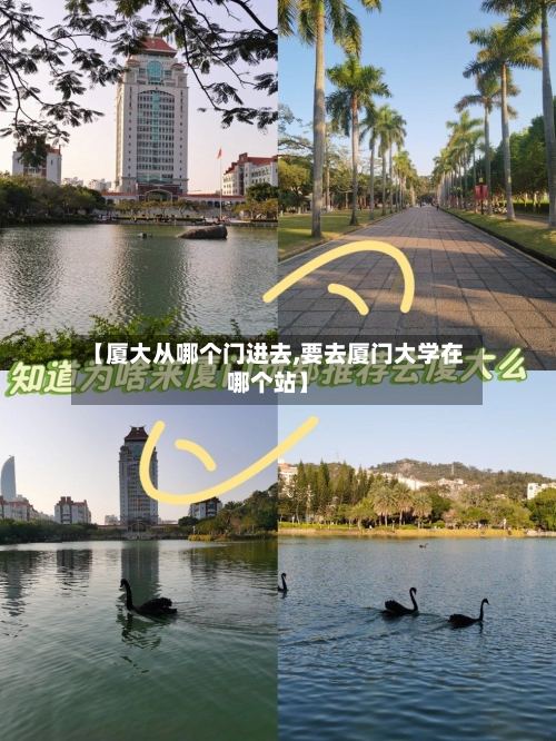 【厦大从哪个门进去,要去厦门大学在哪个站】-第2张图片