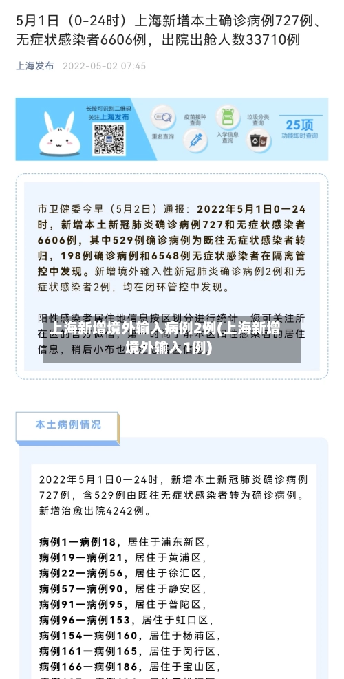 上海新增境外输入病例2例(上海新增境外输入1例)-第3张图片