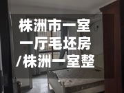 株洲市一室一厅毛坯房/株洲一室整租房费用信息-第1张图片