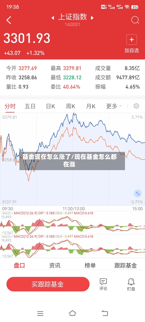 基金现在怎么涨了/现在基金怎么都在涨-第1张图片