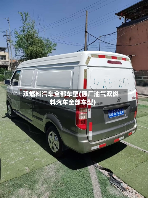 双燃料汽车全部车型(原厂油气双燃料汽车全部车型)-第3张图片