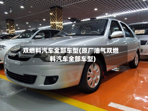 双燃料汽车全部车型(原厂油气双燃料汽车全部车型)-第1张图片