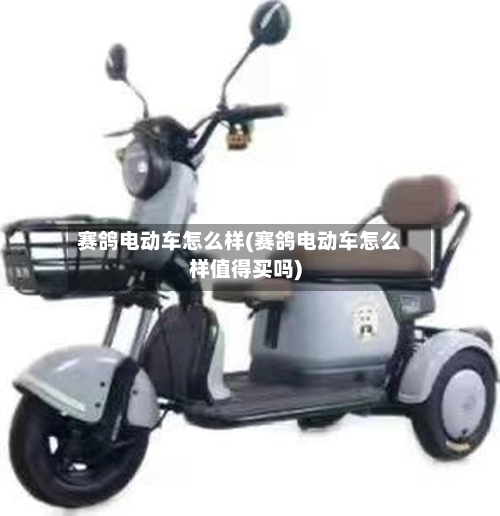 赛鸽电动车怎么样(赛鸽电动车怎么样值得买吗)-第2张图片