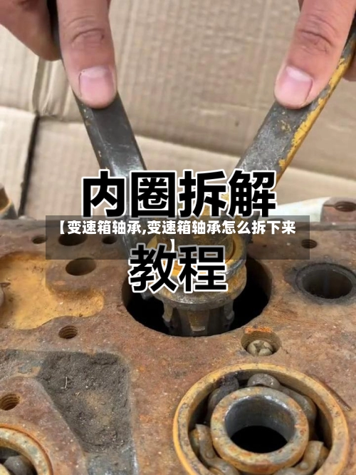 【变速箱轴承,变速箱轴承怎么拆下来】-第1张图片