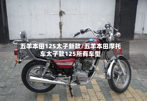 五羊本田125太子新款/五羊本田摩托车太子款125所有车型-第1张图片