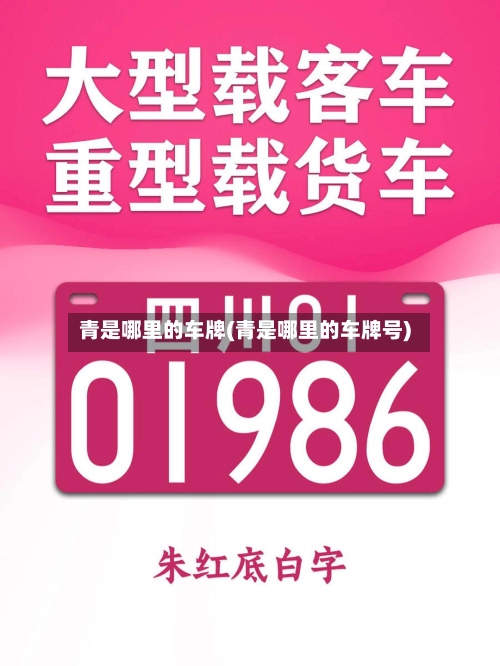 青是哪里的车牌(青是哪里的车牌号)-第1张图片