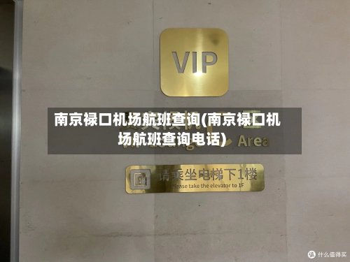 南京禄口机场航班查询(南京禄口机场航班查询电话)-第1张图片